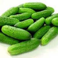 Fresh Gherkins