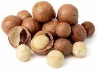 Macadamia Nuts