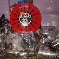 Lion Face Painted Shield