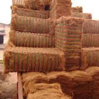 Coir Fiber