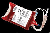 Blood Bag - 450 Ml
