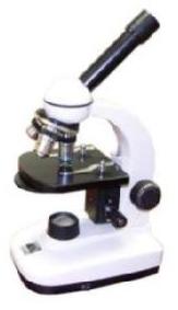 compound microscopes