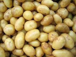 Potato Seed