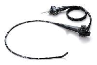 flexible endoscope