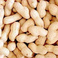 Shelled Groundnuts