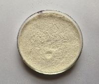 Tamarind Kernel Powder