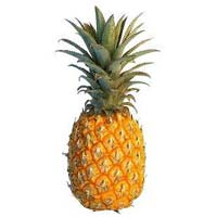 Fresh Pineapple