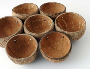 Coconut Shell