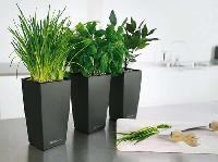 indoor plant containers
