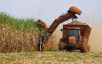 Sugar cane harvesting machine