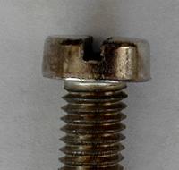 Cheese Head Screw