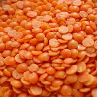 Masoor Dal