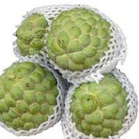 Fresh Custard Apple