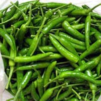 Fresh Green Chillies