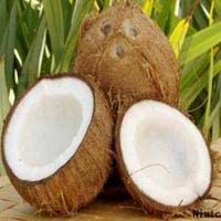 Fresh Mature Coconut