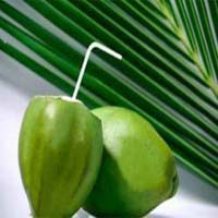 Fresh Tender Coconut