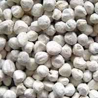 Ben Oil Seeds
