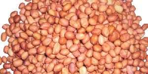 Peanut Oil Seeds