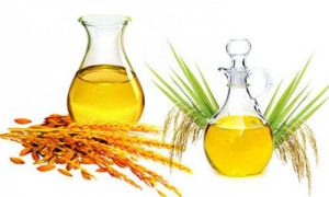 Rice Bran Oil