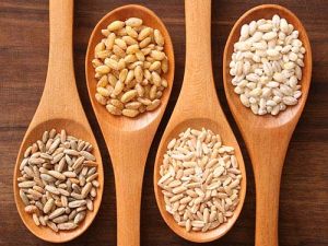 Food Grains