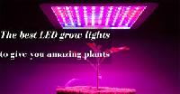 Led Grow Light