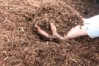 Compost Fertilizer