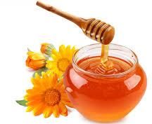 Sunflower Honey