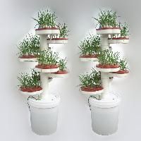 plants pots