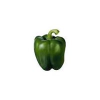 Capsicum