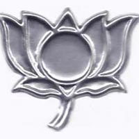 Metal Indian Election Logo