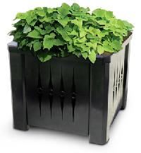 Decorative Planter