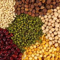 Indian Pulses