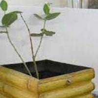 Bamboo Planter