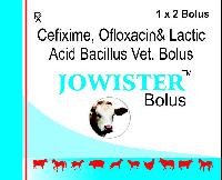 Jowister bolus