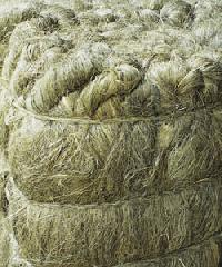 Hemp Fiber