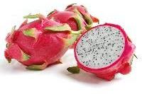 Dragon fruit