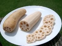 Lotus Root