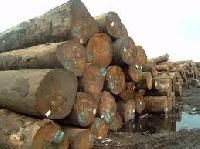 Cypress Logs
