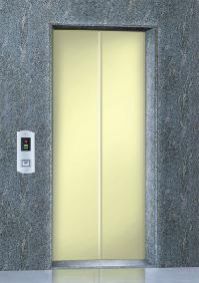 auto door lifts