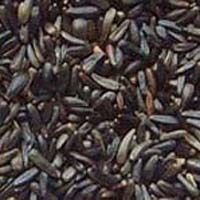 Niger Seeds