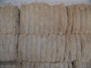 Coir White Fibre