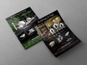 Leaflet Designing Service