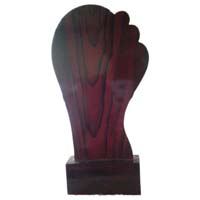 trophy wooden9