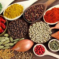 Indian spices