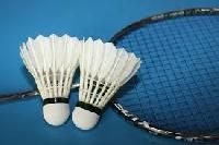 badminton equipment