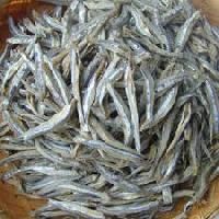 Dried Anchovy Fish