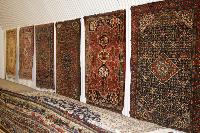 Wall Carpets