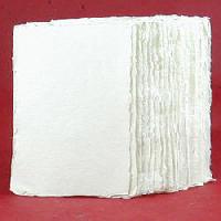 Paper Pulp Sheets