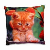 Sublimation Pillow Printing