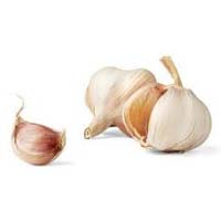 Fresh Garlic